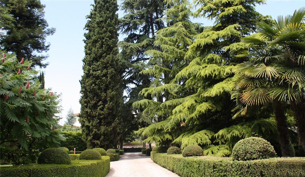 Villa Avesani Pastrengo Exterior foto